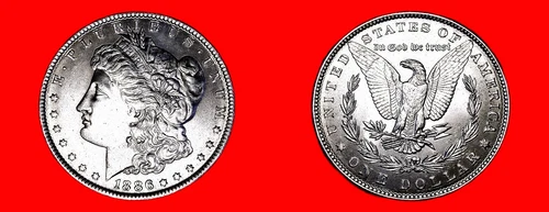 1886-P MORGAN DOLLAR (GEM BU++++) HIGH GRADE (MS++++) **MUST SEE RARE BEAUTY**!!