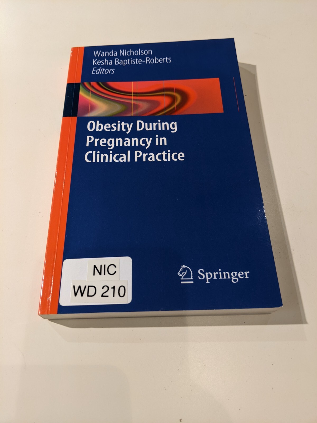 Obesity During Pregnancy in Clinical Practice