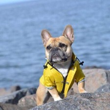 Manteau chien 12 /17 kg type Bouledogue Français, Shiba, Australien, ciré marin