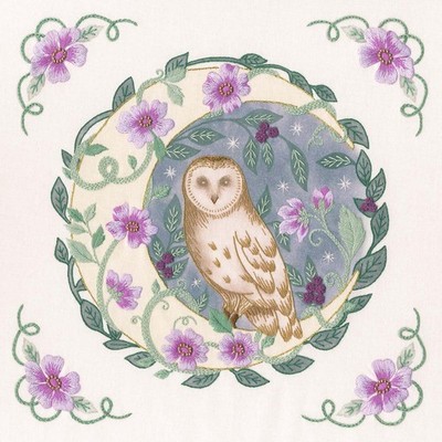 Bothy Threads Moonlit Magic Stamped Embroidery Kit