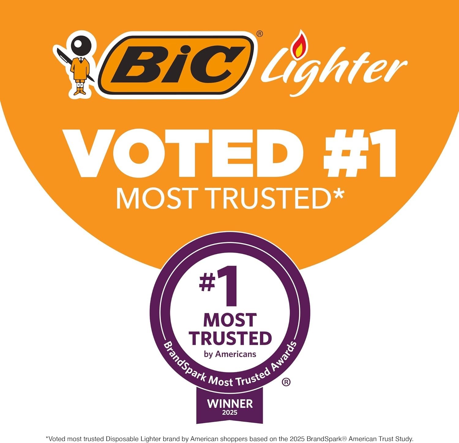 Bic Classic Maxi Lighters Cigarette/Candle Full Size, Assorted Colors Pack of 10