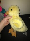 Picture 5 of 13