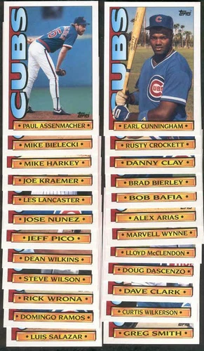 Chicago Cubs 20 different 1990 Topps TV Cubs group A