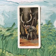 RED ROSE TEA CARD AFRICAN ELEPHANT BABY ANIMALS AND THEIR YOUNG 1990 No 35 #T