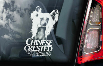 Chinese Crested Dog Car Sticker - Hairless Dog On Board Bumper Window Decal V03