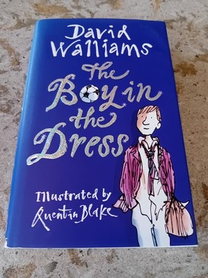 FIRST EDITION Boy in the Dress by David Walliams 2008, dust cover very nice cond