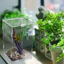 Acrylic Transparent Reptile Feeding Box Spider Lizard Breeding Habitat