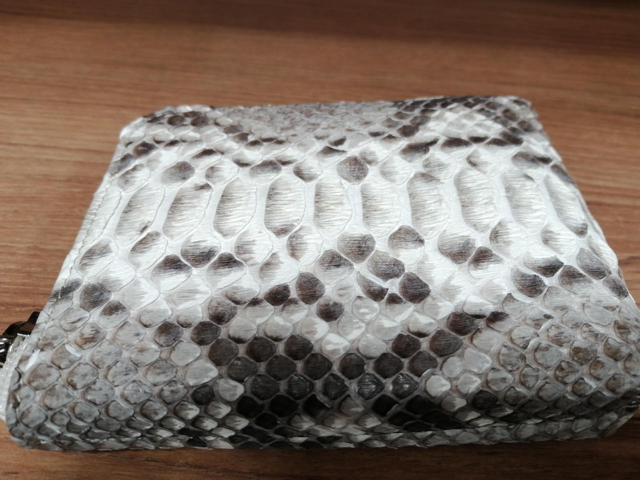 Multi Case Python Nb Jtu73 - image 3