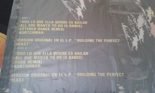 DON HENLEY **Todo lo que ella quiere... DANCE MIX** 1984 RARE 12" Single EAGLES - Picture 3 of 5
