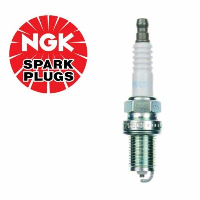 Zündkerze NGK für BRIGGS & STRATTON OHV Intek, Vanguard Motoren [#992304]