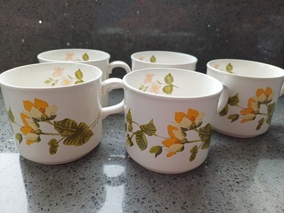 Royal Worcester Palissy Meadow Clover Meadow Flowers Design 5 Kaffeetassen