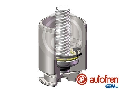 Rear AUTOFREN SEINSA D025422RK Piston, brake caliper for CITROËN,TOYOTA