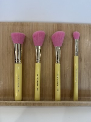 Spectrum Angled Blush Contour Foundation Blending Highlighter Makeup Brush Set 4