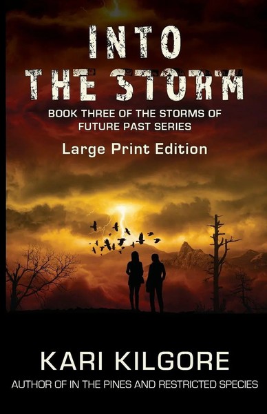 Kari Kilgore | Into The Storm | Taschenbuch | Englisch (2019)-image