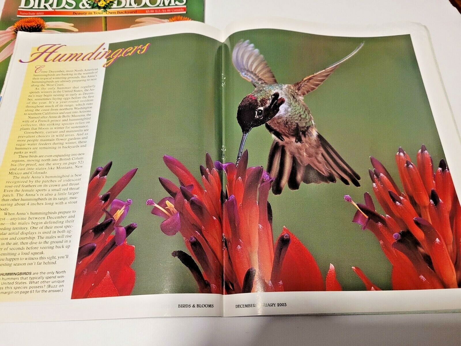 Vintage Lot of 2 Birds & and Blooms Magazines 2003 Issues June/July Dec