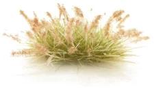 Woodland Scenics Brown Seeding Tufts FS775