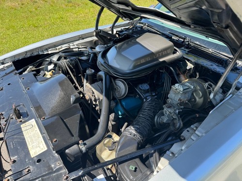 1979 Pontiac Trans Am TRANS AM 10TH Anniversary - Picture 24 of 35