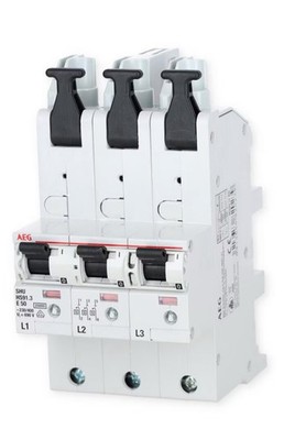 AEG HS91.3E50SAV Sel. Haupt-LS, 50A  Wie abgebildet. Einwandfrei.