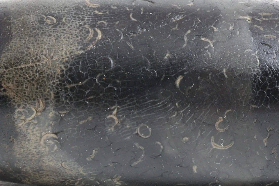 Auténtico Antiguo Cuentas Tibetanas Huya dZi - Ágata del Himalaya Tratada con Puja de Fuego, Nepal Foto 4 de 4