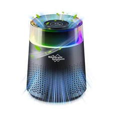 Room Air Purifier HEPA Filter Remove Odor Dust Smog Home Allergies Smog