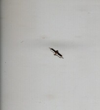 Vintage NOS Balance Staff from BestFit Assortment 22AA Hamilton 12 size