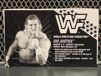 WWE Sid Justice Hasbro Bio Card Wrestling Red Card WWF Sycho Vicious NWA WWF Sky
