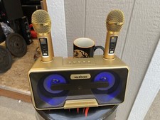 MASINGO Karaoke Machine for Adults and Kids 2022 Presto G2 Gold 