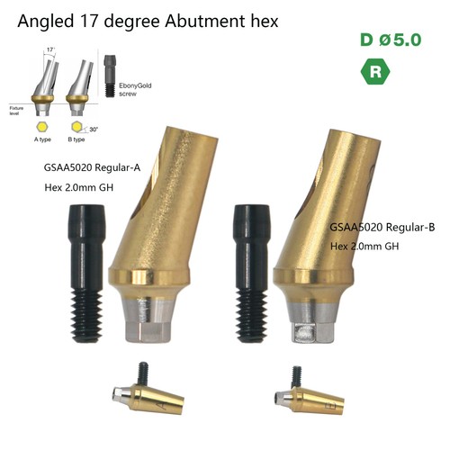 Hiossen Conical Connection ET System RP 17° Angled Anatomic Transfer Abutment - Picture 9 of 47