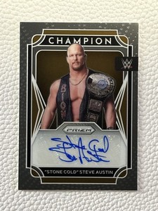 Steve Austin Auto | eBay