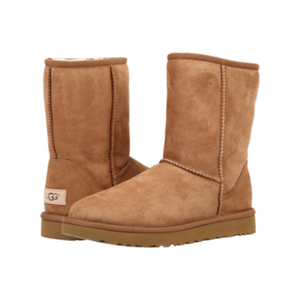camel uggs short