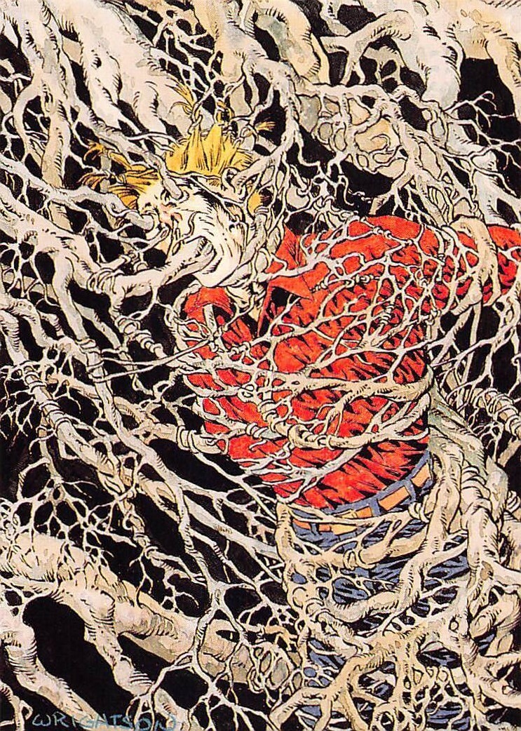 1993 FPG BERNIE WRIGHTSON MASTER OF THE MACABRE CARD # 17