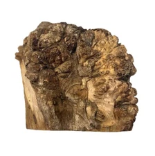 Paela/Chakte Viga Burl Cap/Bowl 10" x 10" x 4" | 8 lbs  #803