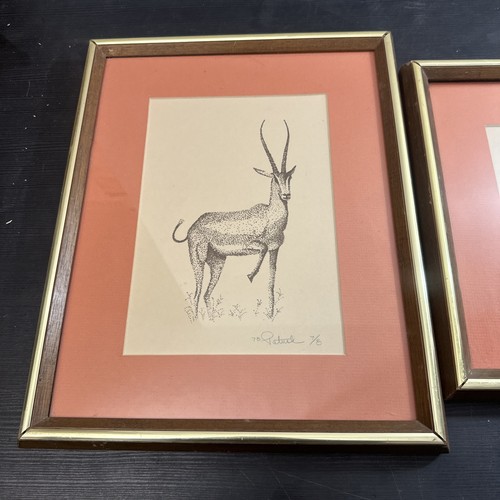 Rare limited Edition Artist Signed Dot-Art Prints Antelop & Elephant 15.5 X 12.5 - Picture 2 of 20