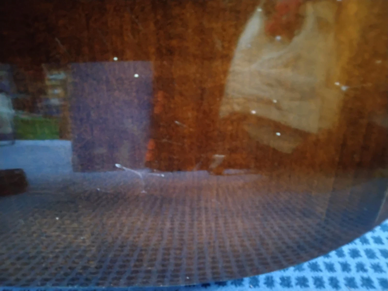 Picture 4 of 4