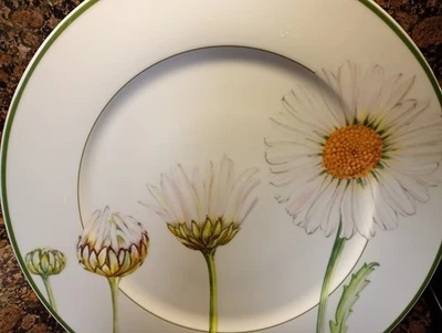Villeroy & Boch ' Flora ' Buffet Plate / Charger - Marguerite - Daisy NEW - Image 1 of 4