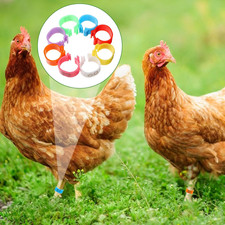 80 Pcs Chicken Leg Bands, 16mm Chicken Tags for Legs, Colorful 01-80 Numbered...
