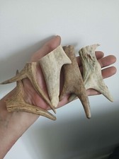 43.Elk horn Blanks For Knife Handle.(NATURAL).