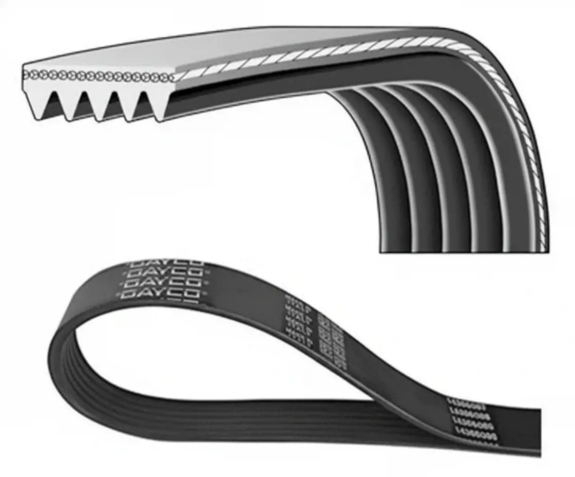 Für DAYCO DAY5PK1230EE V-ribbed Belt DAY5PK1230EE Multi-V-belt (5PK1230) fits: - Bild 2