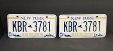 New York Plates KBR-3781 Excelsior Statue of Liberty NYC Skyline Niagara Falls