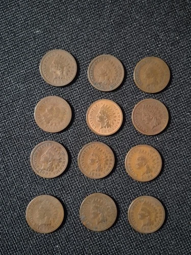 12 Vintage 1883 Indian Head Penny Coin Collection