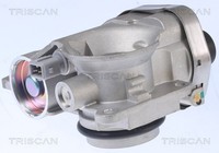 Drosselklappenstutzen Triscan 8820 25003 FüR Renault Kangoo KC0 FC0 Twingo 1 2