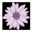 bargainshop6299