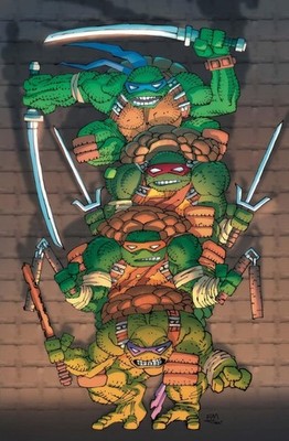 Teenage Mutant Ninja Turtles 20 Frank Miller Virgin Variant! NM 2026 IDW