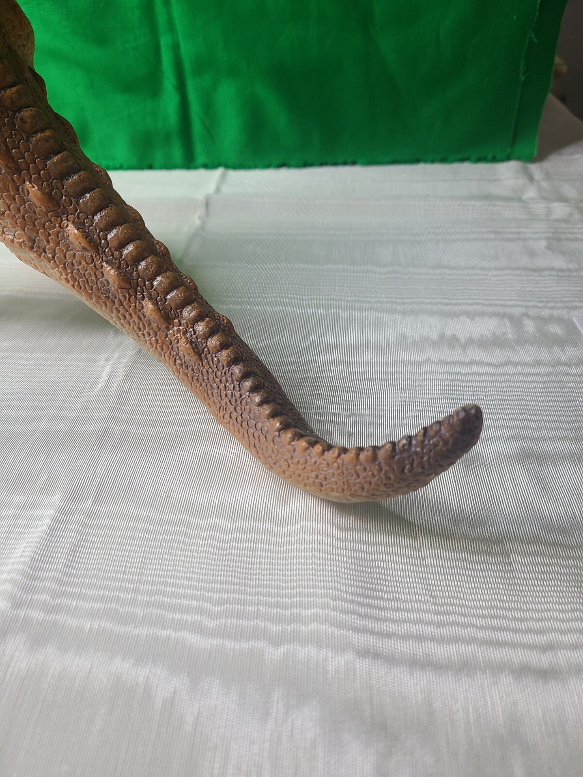 Picture 5 of 13