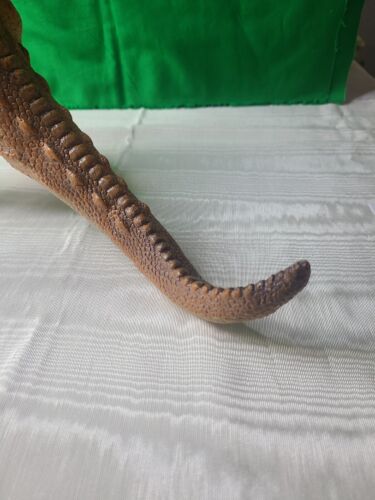 T-Rex Toy Major Trading 2005 Tyrannosaurus Rex Dinosaur used 19 inch Great Cond - Picture 5 of 13