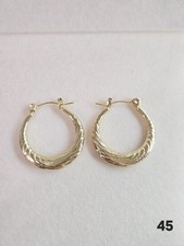 Stainless Steel Gold Tone Hoop Earrings