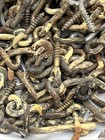 Vtg Mixed Lot 2.2 lbs of Brass & Steel Eye Hooks Rustic Steampunk Salvage Door — photo 9
