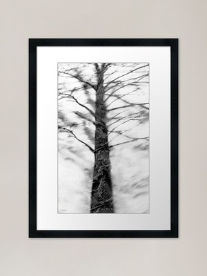 Schatten des Winters Gerahmter Kunstdruck Gerahmtes Wandbild Poster Leinwanddruck Bild