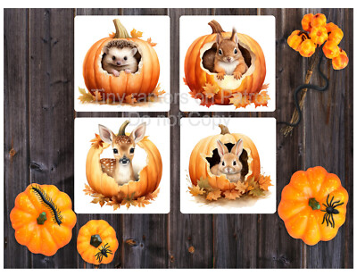 Pumpkin themed neoprene drink coasters, set of 4, CHOICE, absorbent, Fall, gifts