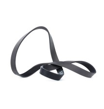 DAYCO Keilrippenriemen 1100,0mm für VW Golf V Schrägheck (1K1) POLO (9N) 6PK1100